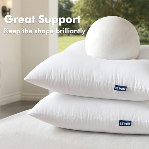 MIULEE Pack of 2 16x16 Outdoor Pillow Inserts, Outdoor Throw Pillows Water-Resistant Decorative Premium Square Pillow Stuffer Sham for Porch Swing Couch Sofa Cushion Patio Furniture - size: 16x16 Inch
