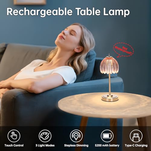 Shenmoyl Tulip Table Lamp with 5200mAh Battery & Touch Control, Cordless Small Table Lamp with 3 Colors, Dimmable Rechargeable Table Lamps for Living Room, Bedroom, Desk, Bedside (Clear Pink Tulip) - color: Clear Pink, size: 1 Pack
