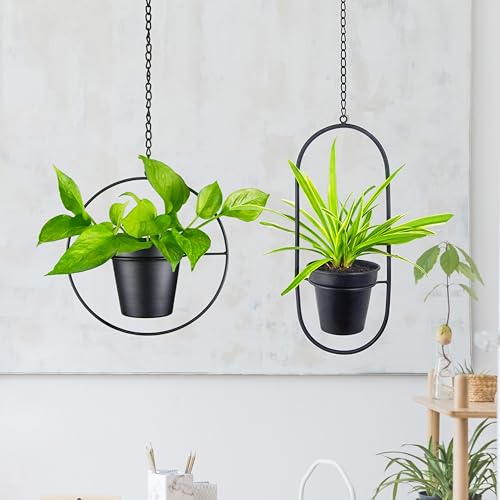 Modern Metal Hanging Planters Set of 2 - Round and Oval Geometric Plant Hangers with 5 Inch Pots - Black Wall and Ceiling Mount Flower Holders for Indoor and Covered Outdoor Décor - size: CIRCLE +OVAL - 5 INCH POT
