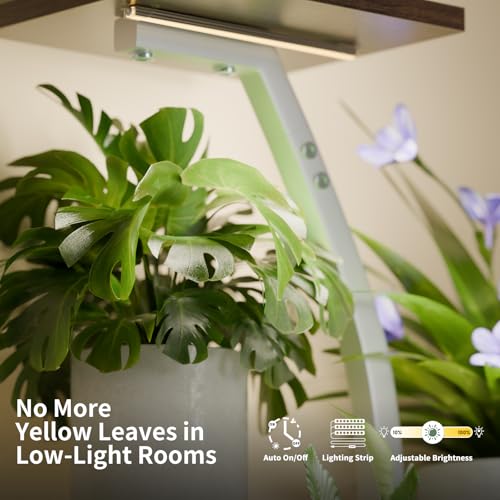 Plant Stand Indoor with Grow Lights, 6 Tiered Plant Shelf Indoor, 50" Corner Plant Stands for Indoor Plants, Lighted Tree-Shaped Plant Holder, Tall Flower Display Rack for Living Room, Patio（White) - color: White