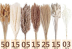 Dried Pampas Grass Decor, 128PCS Pampas Grass with Bunny Tails Dried Flowers, Reed Grass Bouquet for Wedding, Boho Flowers, Home Table Decor, Rustic Farmhouse Party - size: 128PCS