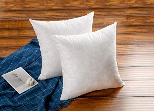 JA COMFORTS 28×28 Premium Goose Down Feather Throw Pillow Inserts(Set of 1)-5% Down Filling,High Filling Weight,250 TC Cotton Cover, Square, White - style: 28×28 (1 Pack)