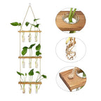 Hyindoor Wall Hanging Propagation Stations 3 Tired Wall Planter Terrarium with Wooden Stand and Glass Test Tubes Plant Hanger Flower Vase for Home Office Wall Decor Hydroponic Cuttings - size: Medium-9 Tubes
