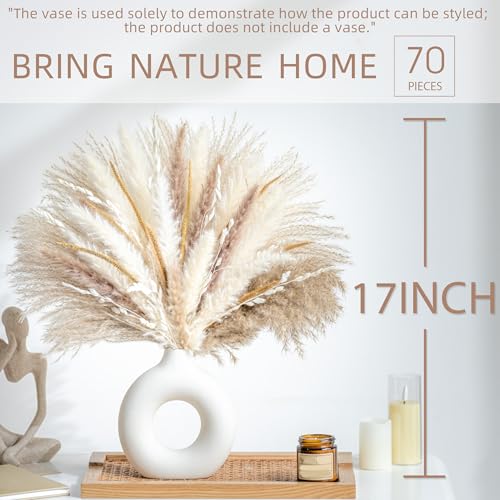 70PCS Natural Dried Pampas Grass Boho Home Decor Bouquet Phragmites Dried Flowers Bouquet for Wedding Floral Arrangements Living Room Decorations (70PCS) - size: 70 Pcs