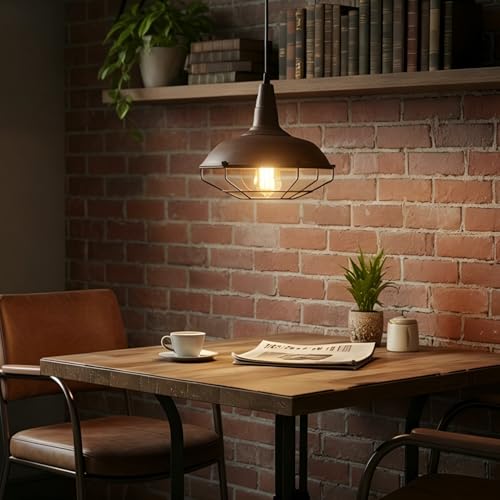 DAYCENT Barn Style Pendant Light Farmhouse Caged Pendant Lighting Industrial Metal Wire Hanging Pendant Light Barn Pendant Light Fixtures for Kitchen Island Hallway Foyer, Rust Finish - color: Hard-wired