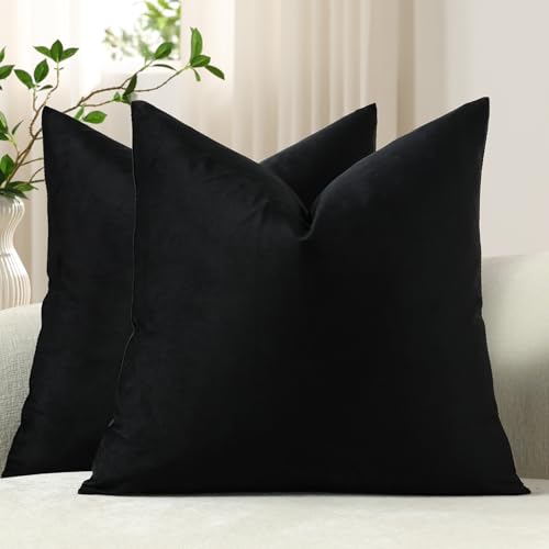 DEZENE Euro Sham Covers 24x24 Black: Pack of 2 Cozy Soft Velvet Square Modern Luxury Decorative Throw Pillow Cases for Sofa Couch Living Room Bed Home Decor - color: Caviar, size: 24" x 24" (Pack of 2)