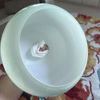 Mid Century Ceiling Light Fixture - Milk Glass Shade, Gold Modern Flush Mount Lamp for Hallway, Dining Room, Kitchen - color: Flush-Milk Green