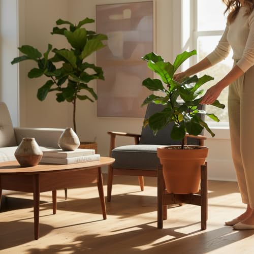 Adjustable Plant Stand, Antique Brush Brown (Pot & Plant Not Included) | Solid Acacia Wood, Mid-Century Modern, Stainless Steel Screws, Fit 8-12" Pot - color: Antique Brush Brown