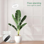 LBW Grow Light with Stand for Indoor Plants, Adjustable Height up to 68", Full Spectrum Grow Light for Large & Tall Plants, Auto Timer 6/8/12/16H, 5-Level Dimmable, 3 Lighting Modes - size: 1 Head 6.3" White