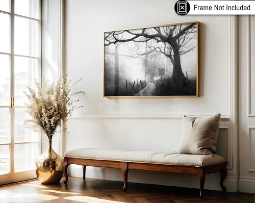Monem Art Narrow Path into the Foggy Distance Print - Vague Memories Poster - Landscape Art - Monochrome Office or Bedroom Decor - 8x10 Unframed Wall Art by Adam Dauria - color: Style-03, size: 8"L x 10"W