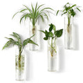 Mkono Propagation Station Wall Planter Hanging Glass Tubes Flower Vase for Hydroponics Plants, Bathroom, Home Office Living Room Decor Gift, Cylinder Set of 4(Plants not Included)