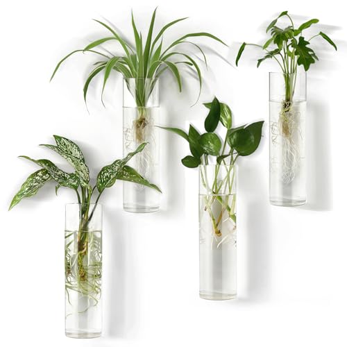 Mkono Propagation Station Wall Planter Hanging Glass Tubes Flower Vase for Hydroponics Plants, Bathroom, Home Office Living Room Decor Gift, Cylinder Set of 4(Plants not Included)