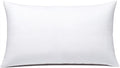 JIEITIVE Throw Pillow Inserts Hypoallergenic Premium Pillow Stuffer Square Form for Decorative Pillow Covers Cushion Set of 1-12 x 20 Inches