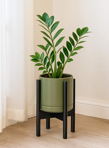 D'vine Dev Ceramic Planter with Ebony Stand - 8 Inch Modern Round Flower Pot with Wood Planter Holder, Olive, 55-B-M-J - color: Olive Pot + Ebony Stand, size: 8 Inch