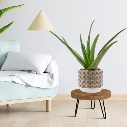 OBTAIN Plant Stand Indoor Outdoor Wood Mid Century Plant Stand for Indoor Plants, Modern Plant Table Round Plant Stool, Boho Rustic Wooden Stool for Plant Pot Hol (L) - color: Dark Brown, size: Large
