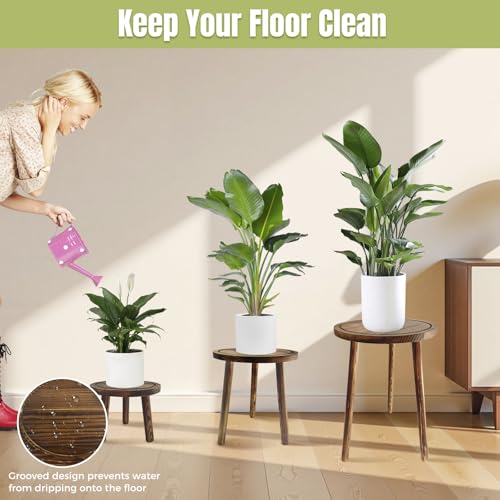 3-Pack Wood Plant Stands Indoor, Mid-Century Modern Plant Stool for 6-12 Inch Pots, Tall Single Corner Wooden Planter Table for Multiple Plants, Living Room, Balcony, and Office