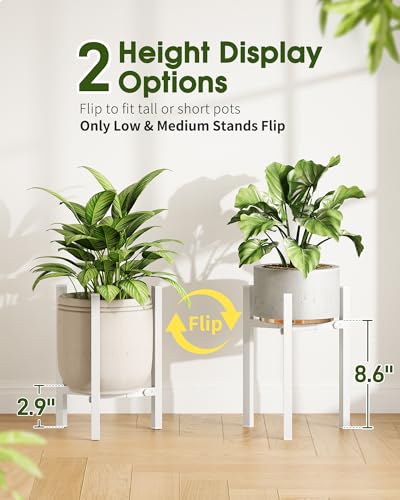 3 Pack Plant Stand Indoor Adjustable, Metal Modern Indoor Plant Stand, Heavy Duty Single Plant Stands Outdoor Corner, Stable Plant Holder Indoor Stand, Fits 8 to 12 Inches Pots, White - color: White, size: 3 Pack