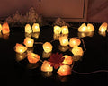 Fantasee Himalayan Salt String Light, Natural Hand Carved Salt Crystal Light Release Negative Ions for Bedroom, Living Room, Office, Home Deco, Yoga, Night Light, Gift (6.6ft 10led) - size: 6.6ft 10led