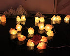 Fantasee Himalayan Salt String Light, Natural Hand Carved Salt Crystal Light Release Negative Ions for Bedroom, Living Room, Office, Home Deco, Yoga, Night Light, Gift (11.5ft 20led) - size: 11.5ft 20led