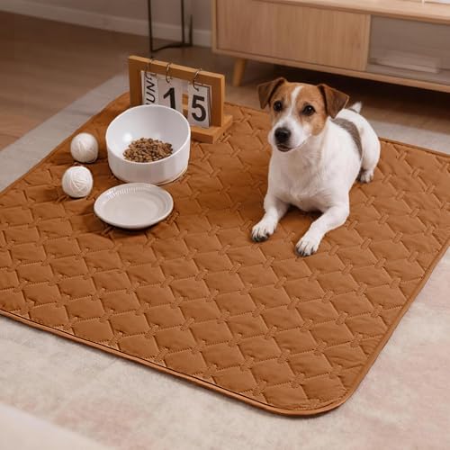 gogobunny 100% Double-Sided Waterproof Dog Bed Cover Pet Blanket Sofa Couch Furniture Protector for Puppy Large Dog Cat, Reversible (30x30 Inch (Pack of 1), Dark Pumpkin/Light Pumpkin) - color: Dark Pumpkin/Light Pumpkin, size: 30x30 Inch (Pack of 1)