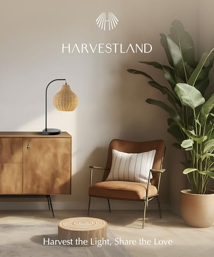 HarvestLand Sunwoven 20” Boho Table Lamp – Woven nightstand lamp, Rattan Lamp with Curved Black Metal Frame for Bedside Lamp, Wicker lamp for Bedroom, Living Room, or Entryway, End Table lamp - style: Sunwoven 20” Rattan