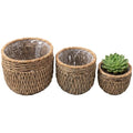 Seagrass Plant Basket Set of 3, Handwoven Woven Planter Baskets | Plastic Lined, Waterproof Liner, Natural Storage Basket, Home Decor