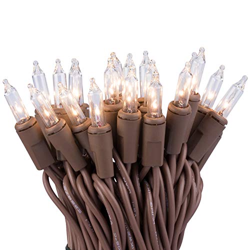 612 Vermont 50 Clear Mini Christmas String Lights on Brown Wire Cord, UL Approved for Indoor/Outdoor Use, 9 Foot of Lighted Length, 11 Foot of Total Length - size: 50 Light