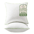Ashler 12x12 Pillows Insert (Set of 2) - Throw Pillow Inserts with 100% Cotton Cover - Premium Fluffy Pillow Forms Stuffing Bedding Inserts -Decorative White Couch Pillow - size: 12x12 Inch