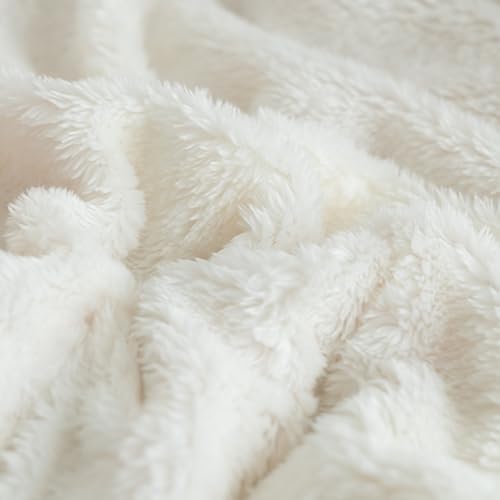 UKELER Sherpa Throw Blanket 60 × 80 inch- Cute Striped Design Soft Plush Fleece Blanket for Bed Couch Sofa Office Camping, 610 GSM, Green - color: C-green, size: 60x80 Inch