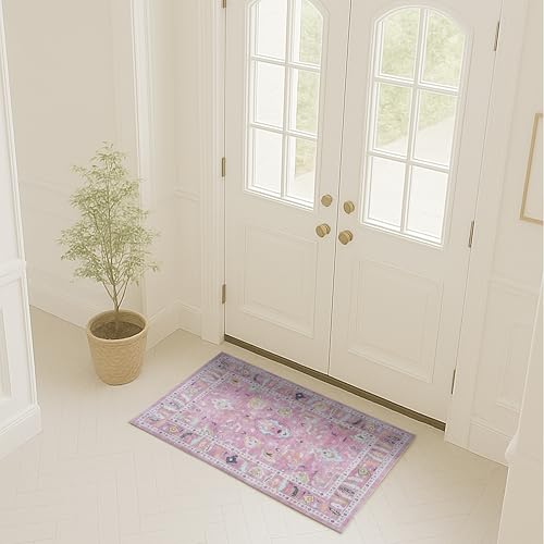 Fame Rugs Pink Modern Oushak Rug 2x3, Vintage Doormat Turkish Colorful Oriental Antique Inspired Washable Small Area Rug, Luxury Living Room Bedroom (995PP, 2' x 3') - color: 995pp, size: 2' x 3' (Doormat)