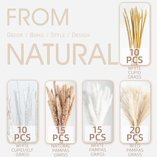 70PCS Natural Dried Pampas Grass Boho Home Decor Bouquet Phragmites Dried Flowers Bouquet for Wedding Floral Arrangements Living Room Decorations (70PCS) - size: 70 Pcs