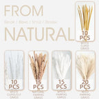 70PCS Natural Dried Pampas Grass Boho Home Decor Bouquet Phragmites Dried Flowers Bouquet for Wedding Floral Arrangements Living Room Decorations (70PCS) - size: 70 Pcs