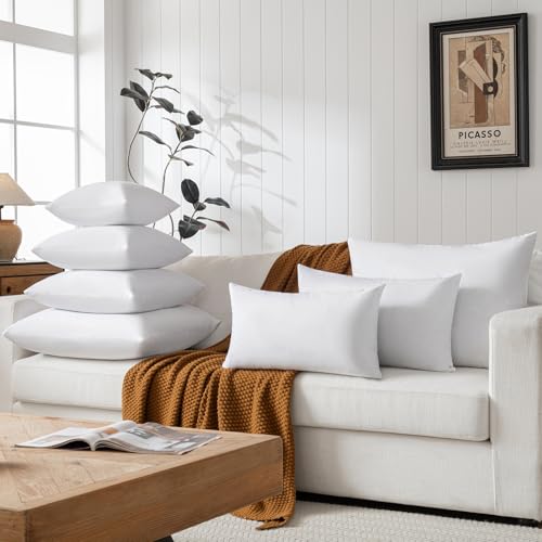 basic home Hotel-Style Goose Feather Down Euro Pillow Insert for Sofa & Bed - 100% Odorless & Plump Cushion Filler - 233TC Cotton with Inner Liner to Prevent Poking (28x28 Inch) - size: 28x28
