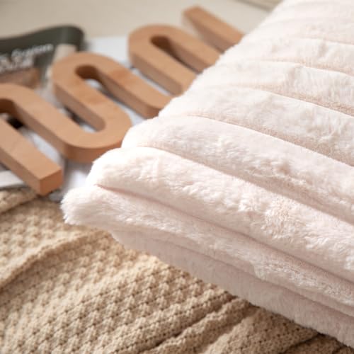 DEELAND Pack of 2,Double-Sided Faux Fur Plush Decorative Throw Pillow Covers Fuzzy Striped Soft Pillowcase Cushion Covers for Sofa Couch Bedroom Beige 24x24 inch - color: Beige, size: 24" x 24" (Pack of 2)