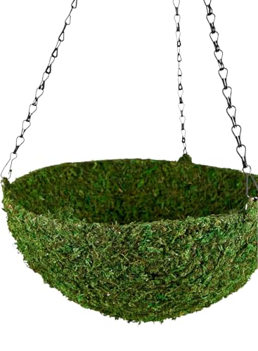 Serene Spaces Living Preserved Green Moss Hanging Basket, Decorative Planter with Metal Chain for Floral Arrangements, Garden Weddings, and Event Décor, 12.5" Diameter & 5" Tall
