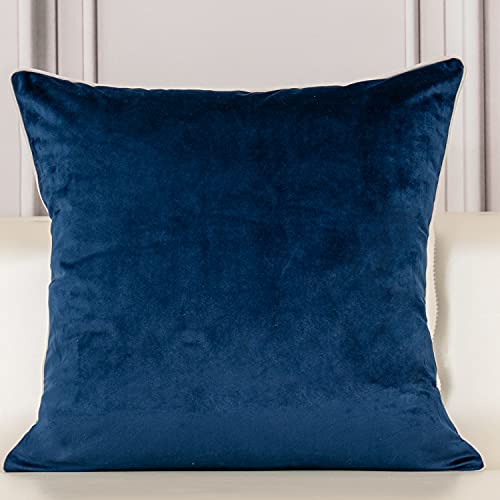 Aeckself European Floral Pillow Cover 16x16 Inch, Luxury Velvet Embroidered Decorative Throw Pillow Cover for Couch Bedroom Living Room, Navy Blue and White - color: Navy Blue, size: 16" x 16" (Pack of 1)