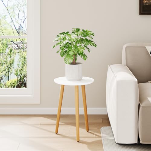 Leaf&lull Tall Plant Stand Indoor Small Plant Table for Large Plants Wooden Plant Stool Plant Holder for Living Room Bedroom Balcony White - color: white tall