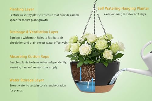 Hanging Planters 3-Pack, 8 Inch Self-Watering Hanging Pots with Drainage Hole and Chains, Plastic Planters for Indoor Outdoor（Black Brown） - color: Black Brown, size: 8 inches
