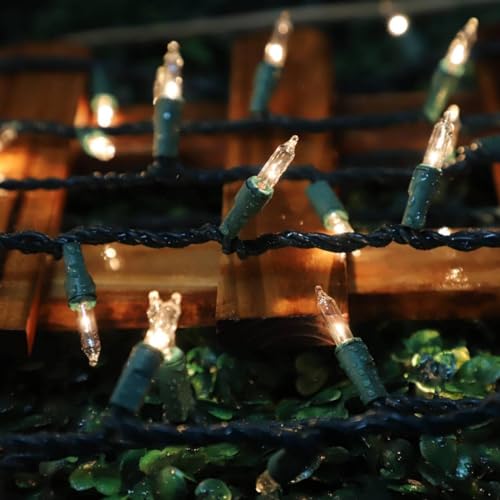 LAMPHOME 100 Count Clear Christmas Lights - 20 ft Ultra Bright White String Lights with Green Wire for Indoor and Outdoor Use, Christmas Trees, Holidays Party Patio Wedding and Garden - color: Clear