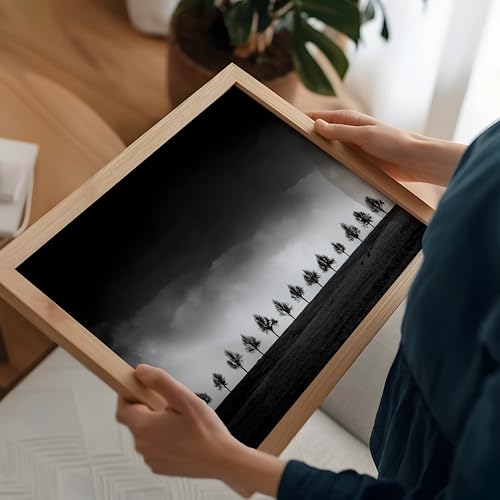 Monem Art Row of Silhouette Trees Print - Brighten Poster - Stormy Sky Art - Black & White Landscape Photography Wall Decor - Office or Bedroom Decor - 8x10 Unframed Wall Art by Adam Dauria - color: Style-11, size: 8"L x 10"W