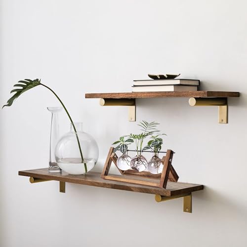 Kingbuy Plant Propagation Station, 3 Glass Bulb Vases with Wooden Stand | Boho Desktop Terrarium, Hydroponics, Home Office Window Sill Decor, Gift for Women Plant Lovers - size: 3 Bulb Vase