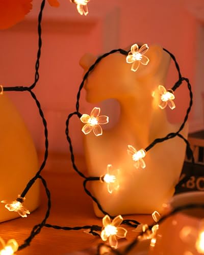 USB Plug in 33ft 100 LED Fairy Flower Lights Strin Indoor Outdoor Decor | Warm White Decorative Floral Lamp Indoor Outdoor Decorations For Bedroom, Christmas, Valientine'S Day, Easter Or Birthday - color: 33ft Warm White Flower Lights