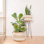 Woven Plant Baskets for Indoor Plants (Set of 2) – Boho Basket Planters for Home Décor