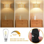 Vinaco Plug in Pendant Light Paper Woven Rattan Hanging Lights, Stepless Dimming Wicker Pendant Light Plug in, High Output Boho Swag Lamps Cord Adjustable for Bedroom Dining Room Corridor Foyer - size: 2 tier HL-10