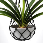 2 Pack Macrame Hanging Planters - Stylish Plant Hangers Crochet Boho Plant Holder Hanging Plant Basket for Up to 8 Inch Pots(Black, Without Patterns) - color: Black, Without Patterns