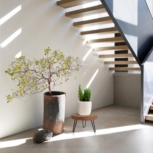 OBTAIN Plant Stand Indoor Outdoor, Wooden plant Stool, Mid Century Plant Stand for Indoor Plants, Wood Modern Plant Holder Rattan Flower, Low Short Boho Rustic Planter Stand Fit 5-15 Inch Pot(M) - color: Dark Brown, size: Medium