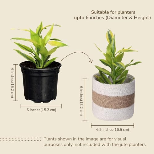 Jute Planter Basket -Sustainable Woven Rope Covers for Decorating Indoor/Outdoor Plants Pots 6.5x6.5x6 Inches Ideal Size for 6" Planter-Multi-Purpose Storage Set of 2 White & Natural Jute - color: White/Natural Jute -Pack of 2, size: 6.5 Inch
