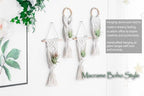 Melphoe 4 Pack Air Plants Holders Stand Air Fern Macrame Plant Hanger Indoor Hanging Planter Basket for Tillandsias Display, Boho Home Decoration Gift Idea