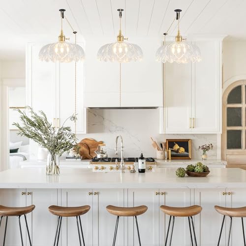 Pendant Light Fixture - color: Hibiscus Transparent
