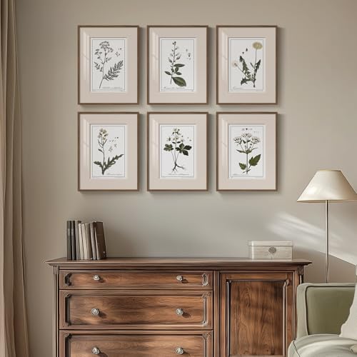 Framed Vintage Botanical Wall Art, 6 Piece Rustic Floral Canvas Painting Prints Artwork for Kitchen Walls, Neutral Flower Pictures for Living Room Bedroom Dining Room Farmhouse Wall Decor, 11x14 - color: Herbarium - Walnut Framed, size: 11" W x 14" H x 6P